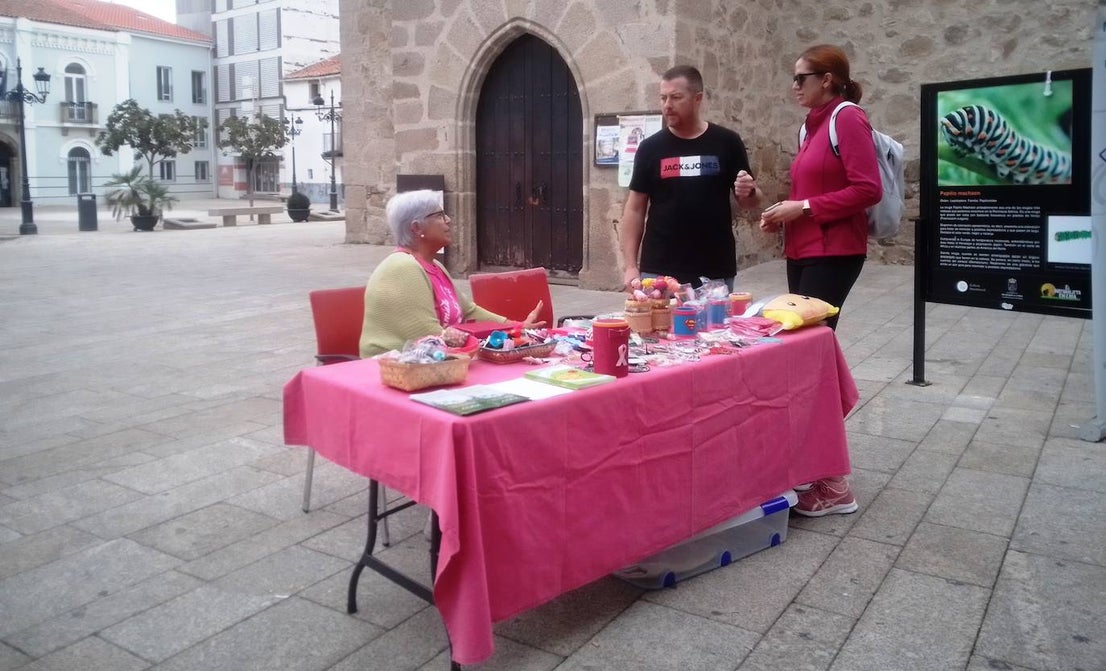 Fotos: Semana de prevención del Cáncer de Mama