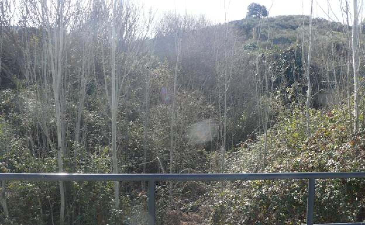 El arroyo de La Parrilla hasta arriba de vegetación 
