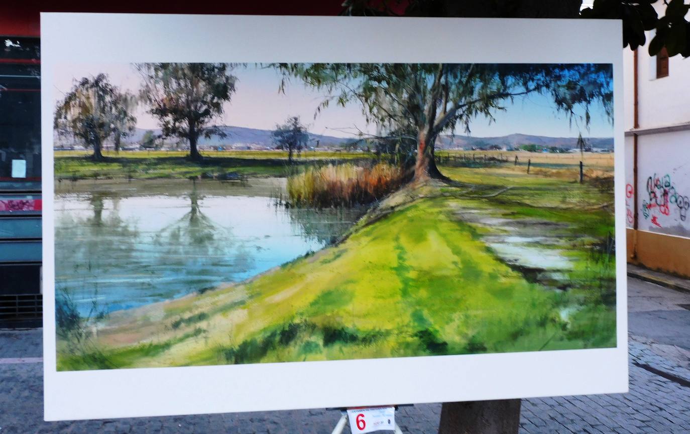 Fotos: Premio de Pintura Rápida 'Juan Núñez-Romero'