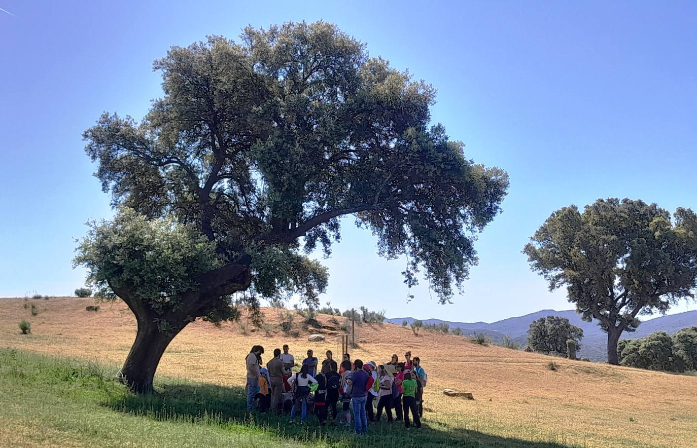 Buen acogida de la I Feria de Naturaleza, Ocio y Tiempo Libre