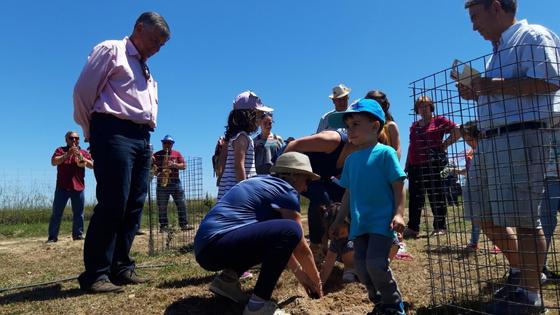 El Día de la Encina de Majadas de Tiétar incluye la plantación de 23 ejemplares 