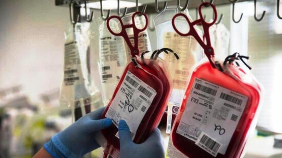 La Hermandad de Donantes de Sangre realizará cuatro salidas en junio