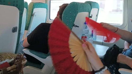 Calor «infernal» en un Alvia Madrid-Cáceres por una avería del aire acondicionado