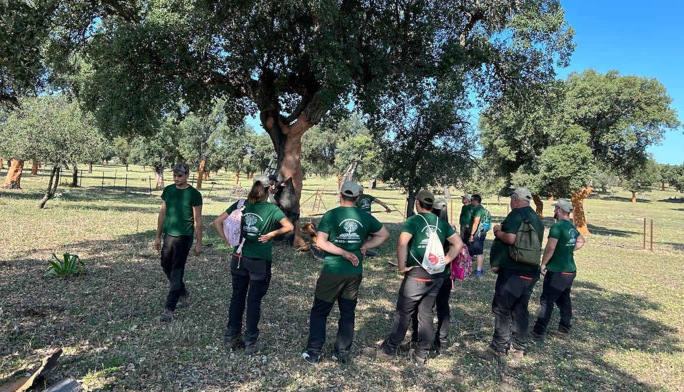 Jornadas del Descorche en Toril