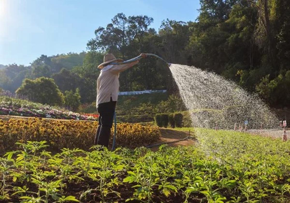 El alcalde de Romangordo pide la colaboración vecinal ante la escasez de agua