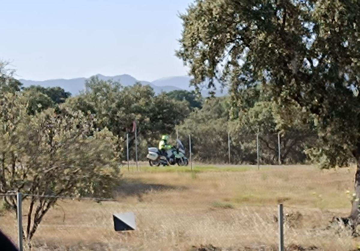 Batida en el entorno de Casatejada