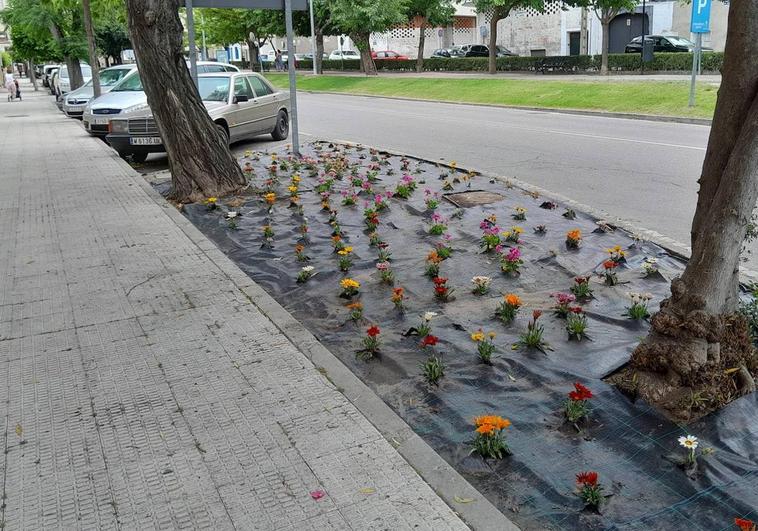La nueva Escuela Profesional formará a 30 desempleados