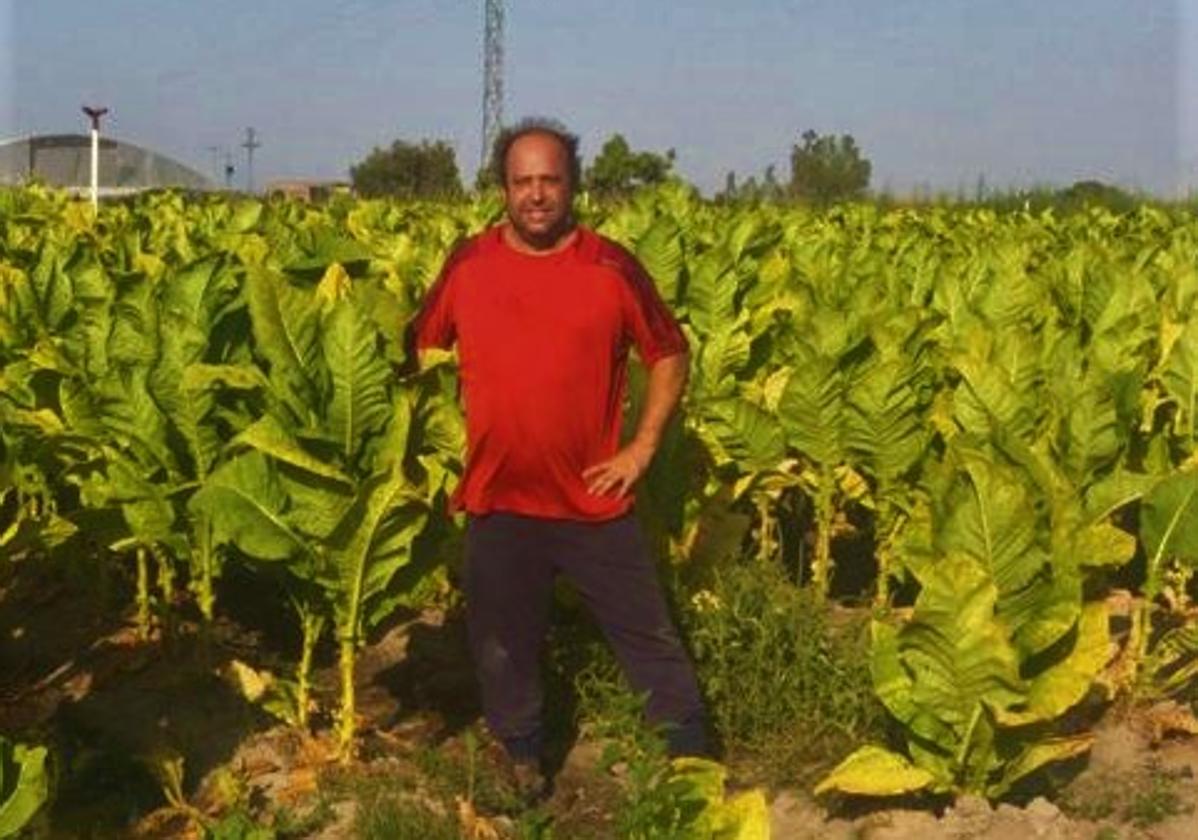 «Esta campaña va a ser mala, es verdad, pero el tabaco sigue teniendo futuro»