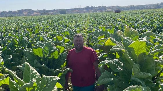 «Sin el cultivo de tabaco, la Vera se acaba, tenedlo claro»