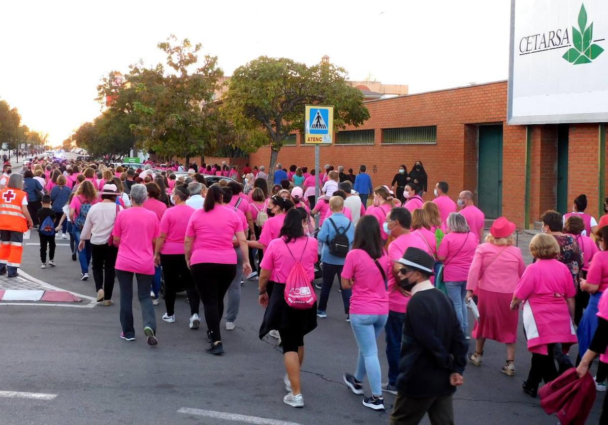 Una nueva Marcha Rosa recorrerá el jueves el centro urbano