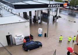 Árbol caído sobre un coche en la zona de Pozo Rancón