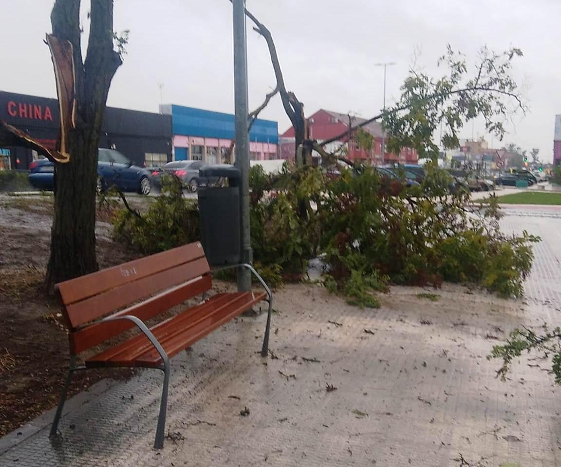 Los rastros de la borrasca