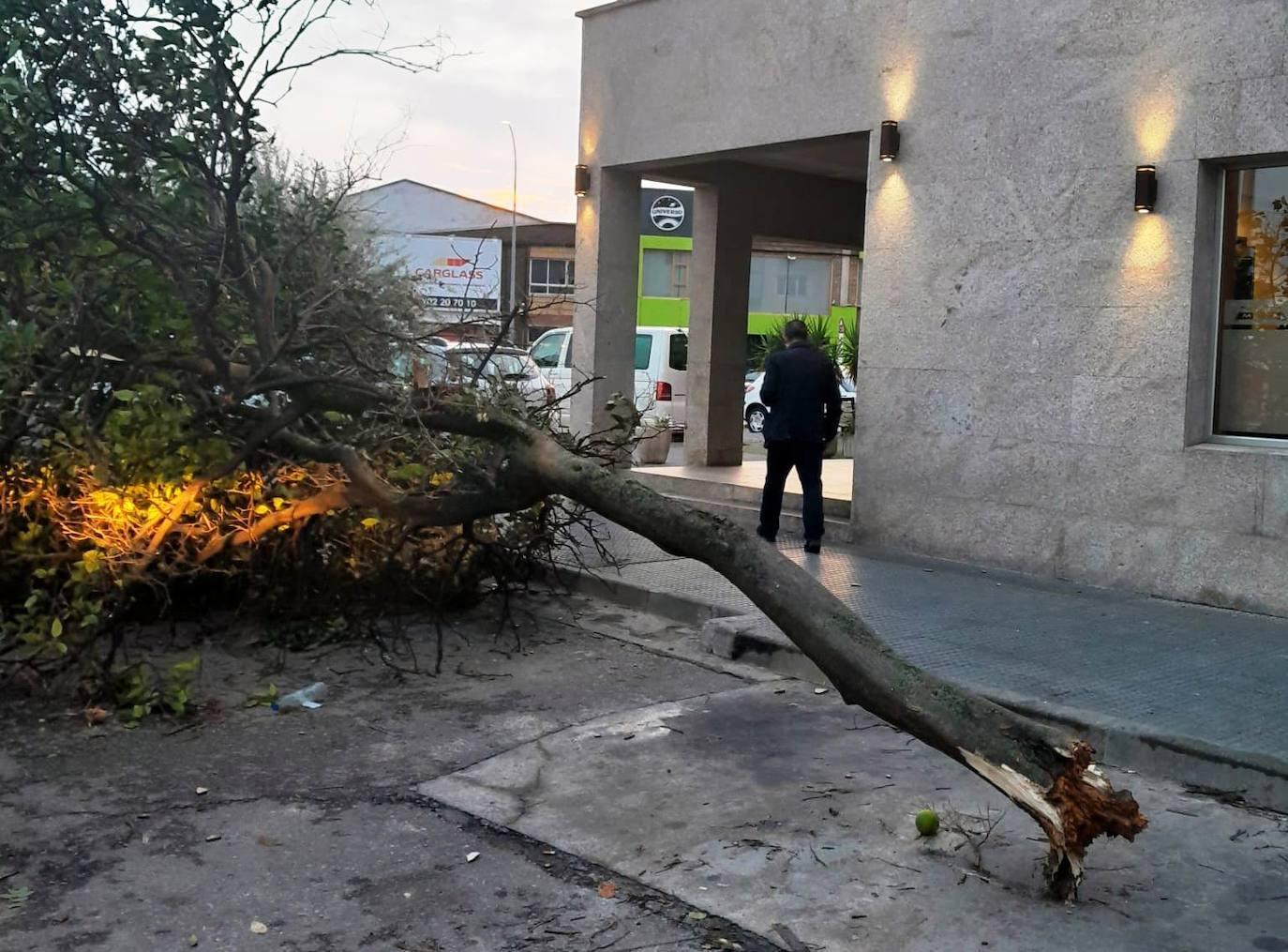 Los rastros de la borrasca