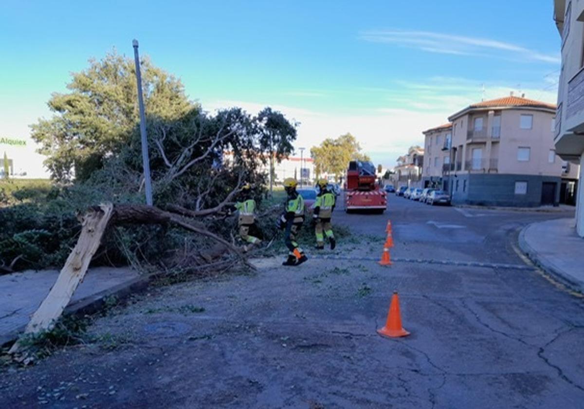 Las incidencias causadas por las rachas de viento obligan a intervenir a los bomberos