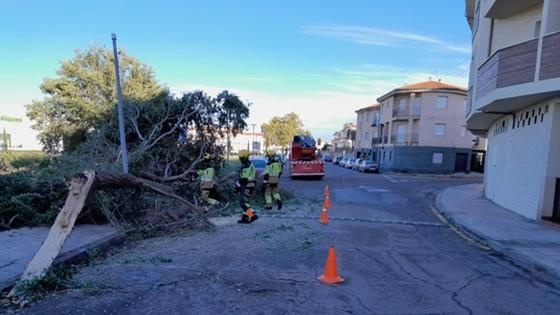 Las incidencias causadas por las rachas de viento obligan a intervenir a los bomberos