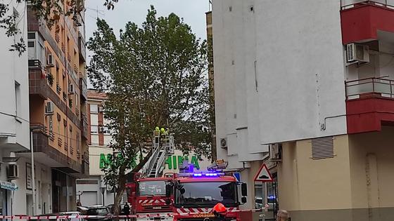 El viento vuelve a castigar al arbolado urbano