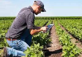 La digitalización está cada día más presente en las explotaciones agroganaderas