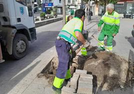 El equipo de jardinería se reforzará con tres peones