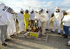 Taller sobre abejas en Higuera de Albalat