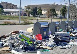 La imagen de abandono que ofrecen Los Viñazos no puede ser más lamentable