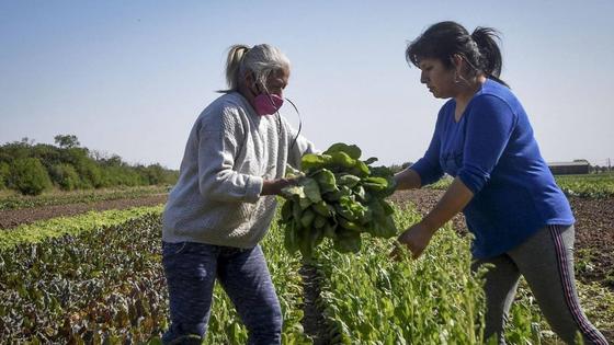 La Cámara de Comercio llevará a cabo un encuentro para mujeres emprendedoras en el medio rural