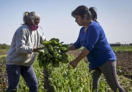 Mujeres en el medio rural