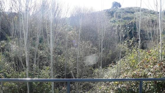 El mantenimiento y la limpieza del cauce de los arroyos, a concurso