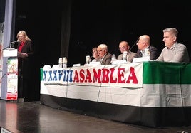 Inicio de la asamblea celebrada en la casa de la cultura