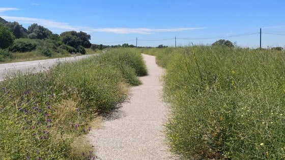 Entre el lunes y el miércoles se desbrozará el camino peatonal a Millanes