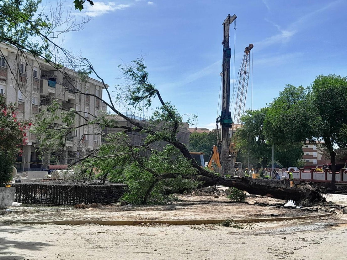 Las obras del tren eliminan la plaza de las cigüeñas