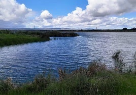 Saucedilla convoca un concurso de dibujo sobre el humedal de Arrocampo