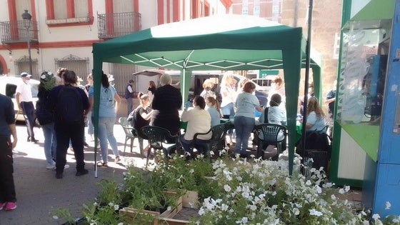 El Jardincillo acoge un Intercambio Solidario de plantas por alimentos