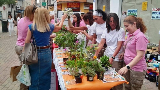 Buena acogida del Intercambio Solidario
