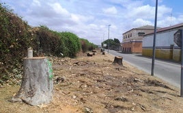 La imagen no puede ser más desoladora