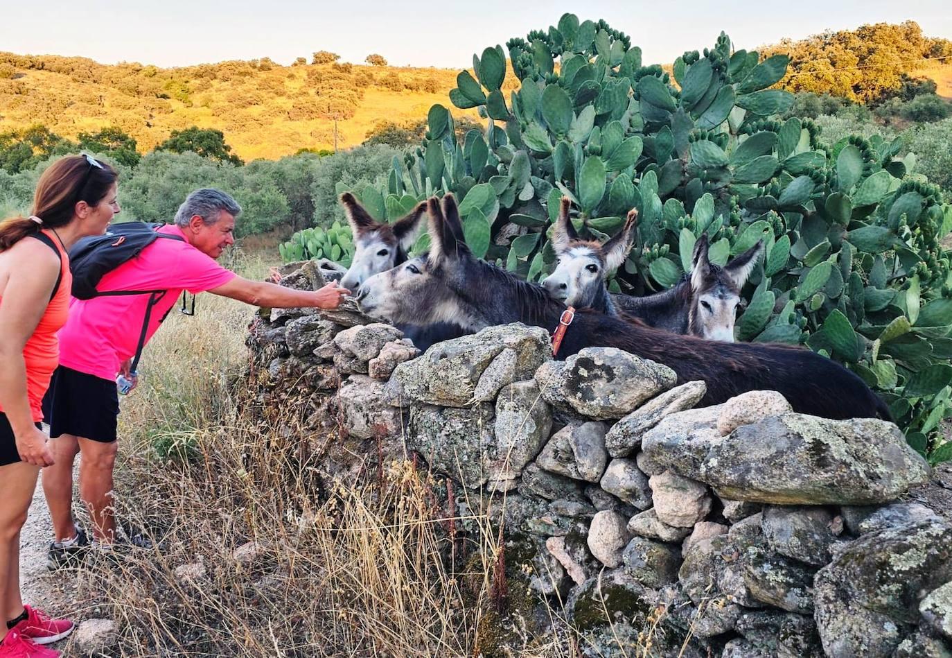 Senderismo nocturno por los humedales ravincheros