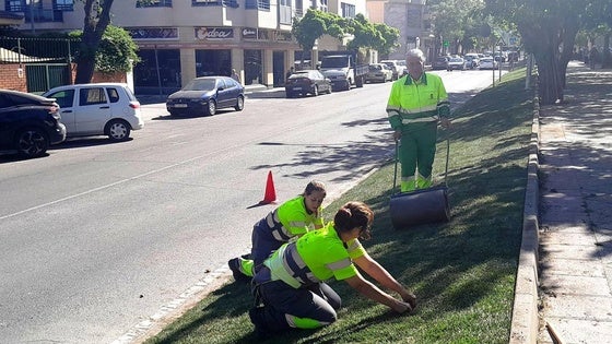 CCOO se opone a la privatización del servicio de mantenimiento de las zonas verdes municipales