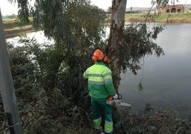 Trabajos de jardinería en la charca Mayen