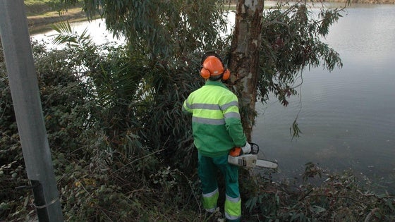 Se suspende la licitación del 'Servicio de conservación y mantenimiento de las zonas verdes municipales'