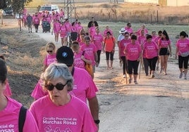 Marcha Rosa celebrada el año pasado en Millanes