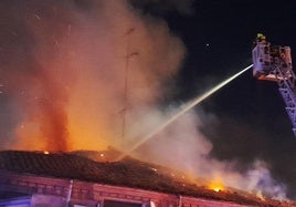 El trabajo de los bomberos se prolongó durante varias horas