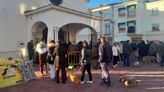 Navalmoral estrena, por San Antón, bendición a las mascotas