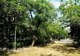 Parque municipal