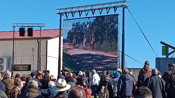La Carrera de Caballos de San Blas vuelve a llevar a miles de personas a Toril