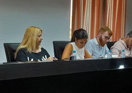 Grupo municipal socialista en el pleno