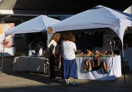 Puestos artesanos en la plaza de Almaraz