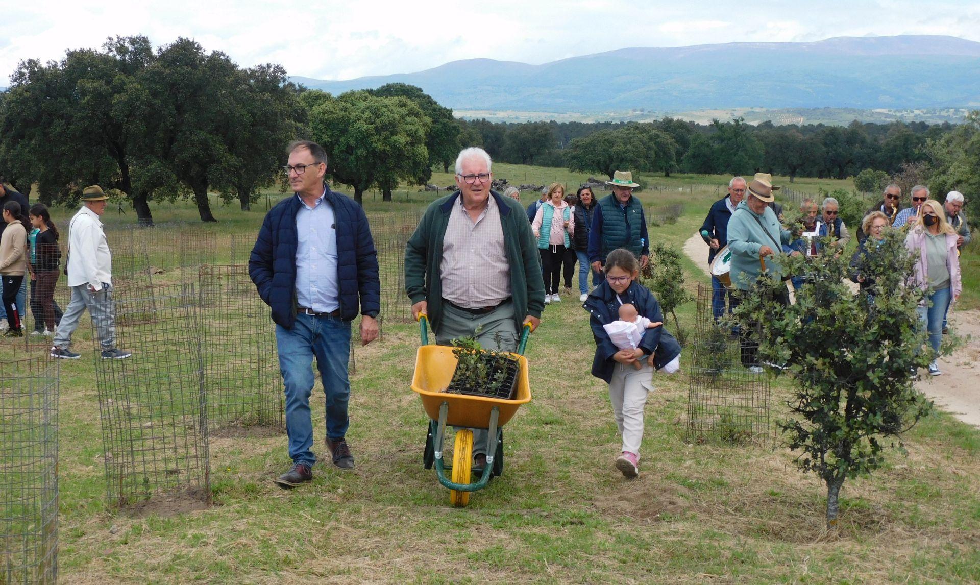 Majadas conmemora los 25 años de la Fiesta de la Encina