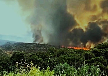 Un incendio en Valdecañas obliga a cortar una carretera y deja sin luz a la población
