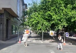 Primeros trabajos en la avenida