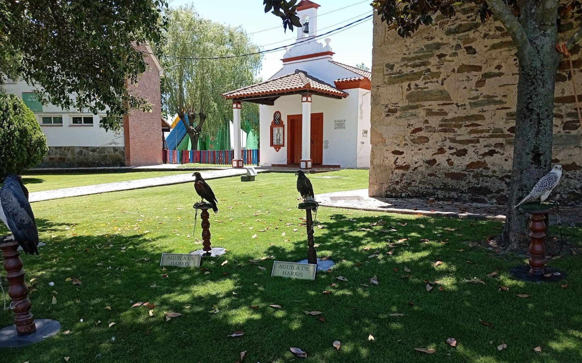 Toril vuelve a homenajear a la dehesa y al río Tiétar