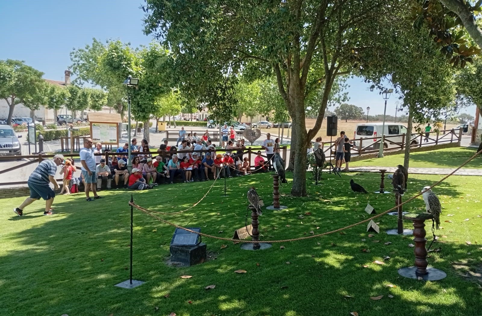 Espectáculo de aves rapaces